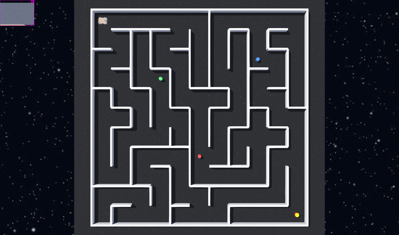 Husky maze (blind)