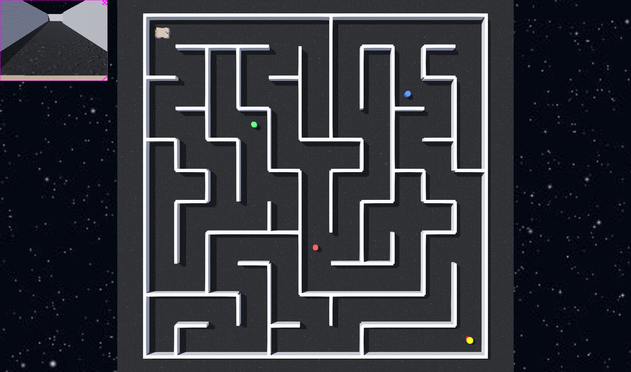 Husky maze with visual goal